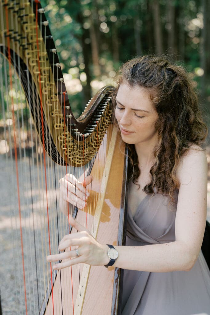 Carolina Grove wedding musician